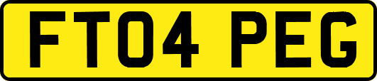 FT04PEG