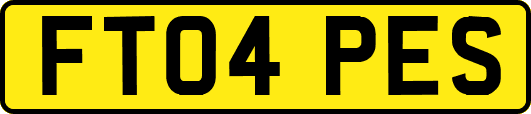 FT04PES