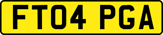 FT04PGA