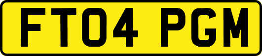FT04PGM