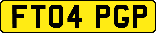 FT04PGP