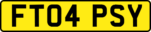 FT04PSY