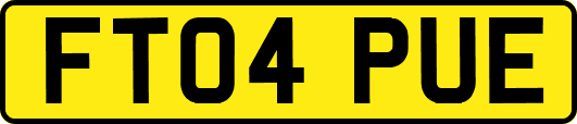 FT04PUE