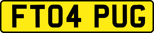 FT04PUG