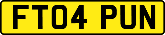 FT04PUN