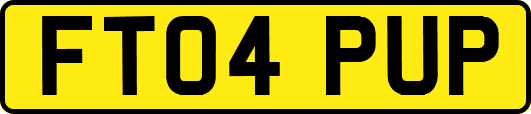 FT04PUP