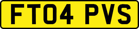 FT04PVS