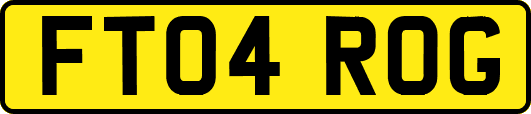 FT04ROG