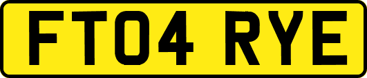 FT04RYE