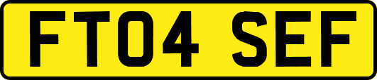 FT04SEF