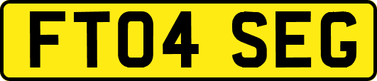 FT04SEG