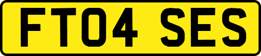 FT04SES