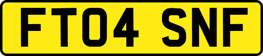 FT04SNF
