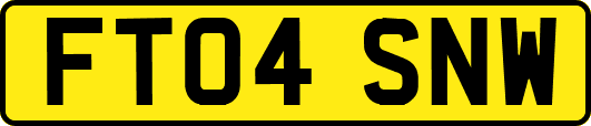 FT04SNW