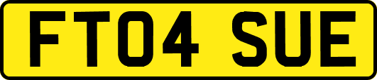 FT04SUE