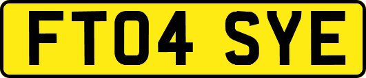 FT04SYE