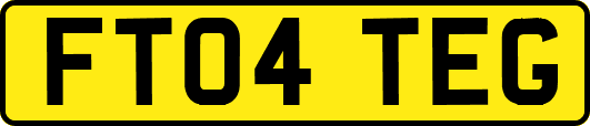 FT04TEG