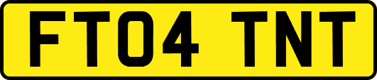 FT04TNT