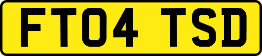 FT04TSD
