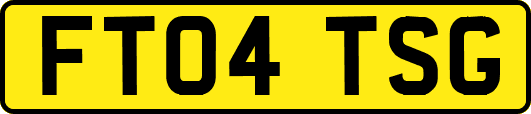 FT04TSG