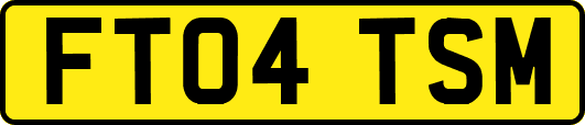FT04TSM