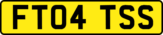 FT04TSS