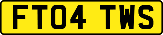 FT04TWS