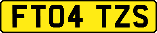 FT04TZS