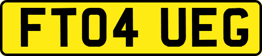 FT04UEG