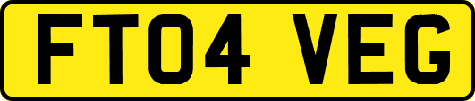 FT04VEG