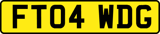 FT04WDG