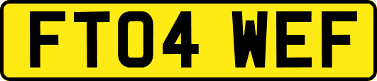 FT04WEF
