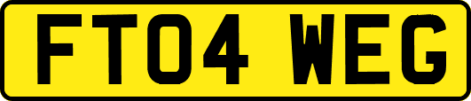FT04WEG