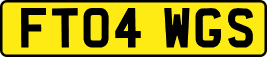 FT04WGS