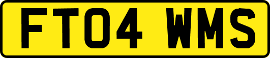 FT04WMS