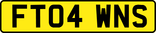 FT04WNS