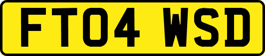 FT04WSD