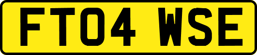 FT04WSE