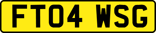 FT04WSG