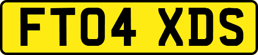 FT04XDS