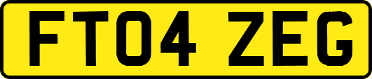 FT04ZEG