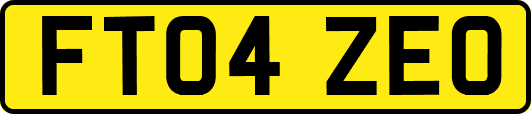 FT04ZEO