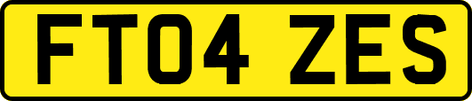 FT04ZES