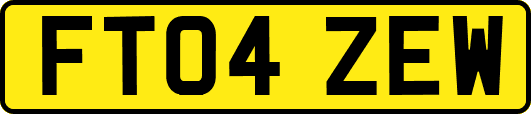 FT04ZEW