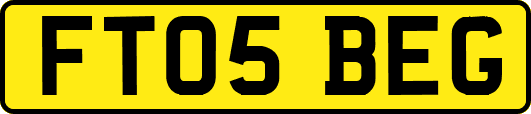 FT05BEG