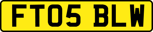 FT05BLW