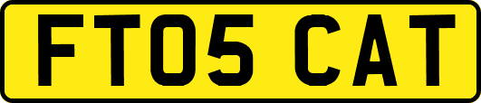 FT05CAT