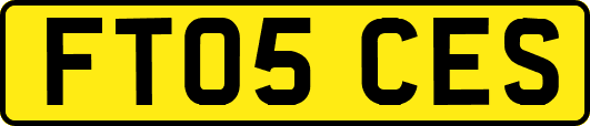 FT05CES