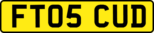 FT05CUD