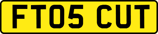 FT05CUT